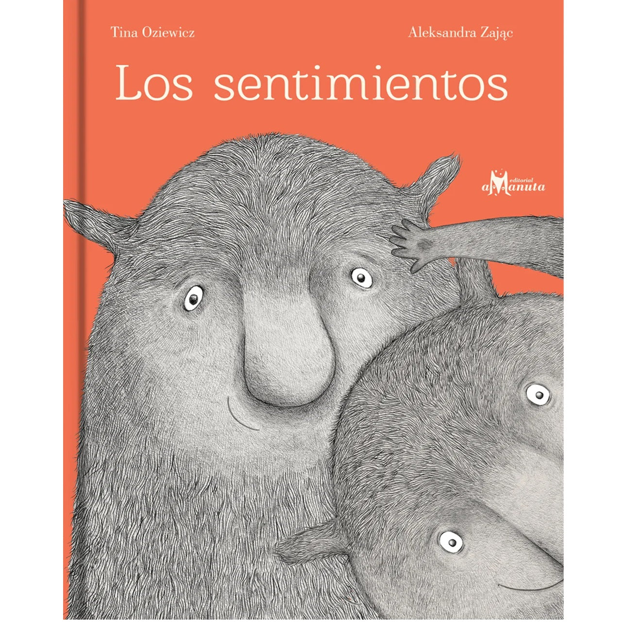 Los sentimientos Los sentimientos
